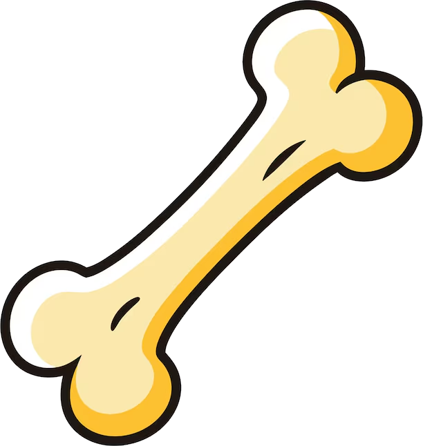 Joint & Bone Health icon