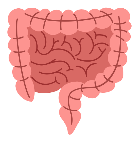 Digestive Health icon