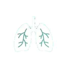 Respiratory Disorders icon